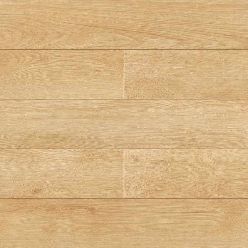 Marine Japanese Oak 10mm Laminate Flooring D4564